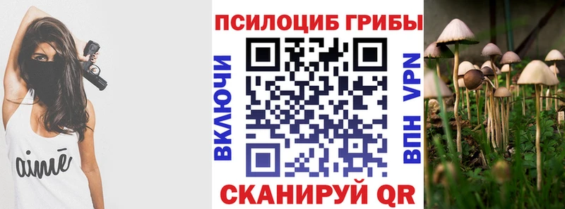 цены Сураж Псилоцибиновые грибы MAGIC MUSHROOMS